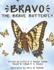 Bravo the Brave Butterfly