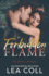 Forbidden Flame: a Forbidden Single Mom Romance (the Monroe Brothers)