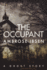 The Occupant (the Afterlife Investigations)
