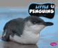 Little Penguins