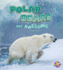 Polar Bears Are Awesome (Polar Animals)