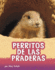 Perritos De Las Praderas/ Prairie Dogs