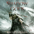 In the Shadow of the Gods a Bound Gods Novel 1 Bound Gods, 1