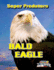 Bald Eagle Age 5 8 Super Predators