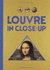 The Louvre in Close-Up