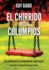 El Chirrido de Los Columpios: De la supervivencia a la plenitud, Una historia real de superacin del abuso sexual. (Spanish edition)