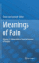 Meanings of Pain: Volume 3: Vulnerable or Special Groups of People