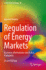 Regulation of Energy Markets: Economic Mechanisms and Policy Evaluation (Lecture Notes in Energy, 80)