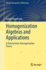 Homogenization Algebras and Applications: A Deterministic Homogenization Theory