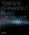 Blind Landscape