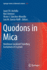 Quodons in Mica: Nonlinear Localized Travelling Excitations in Crystals