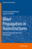 Wave Propagation in Nanostructures: Nonlocal Continuum Mechanics Formulations (Nanoscience and Technology)