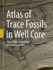 Atlas of Trace Fossils in Well Core: Appearance, Taxonomy and Interpretation