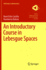An Introductory Course in Lebesgue Spaces (Cms Books in Mathematics)