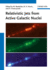 Relativistic Jets From Active Galactic Nuclei