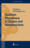 Quantum Phenomena in Clusters and Nanostructures