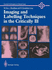 Imaging and Labelling Techniques in the Critically Ill (Current Concepts in Critical Care)