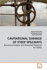 Cavitational Damage of Steep Spillways: Numerical Analysis and Remedial Measures for Safety