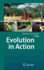 Evolution in Action: Case Studies in Adaptive Radiation, Speciation and the Origin of Biodiversity