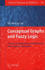 Conceptual Graphs and Fuzzy Logic: A Fusion for Representing and Reasoning with Linguistic Information