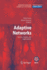 Adaptive Networks: Theory, Models and Applications