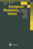 European Monetary Union: Transition, International Impact and Policy Options