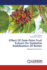 Effect of Date Palm Fruit Extract on Oxidative Stabilization of Butter: Natural Preservatives