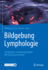 Bildgebung Lymphologie: Sonographie, Lymphangiographie, MR Und Nuklearmedizin