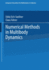 Numerical Methods in Multibody Dynamics