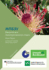 Ipbes: An Introduction for Stakeholders