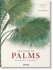 The Book of Palms / Das Buch Der Palmen / Le Livre Des Palmiers