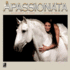 Apassionata: Horses on Parade