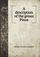 Description of the genus pinus