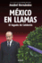 Mxico En Llamas: El Legado De Caldern / Mexico in Flames (Spanish Edition)