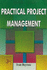 Practical Project Management