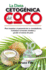 Dieta Cetogenica Del Coco, La (Spanish Edition)