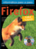 Firefox: Para Todos (Informtica Paso a Paso) (Spanish Edition)