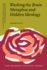 Washing the Brain-Metaphor and Hidden Ideology (Discourse Approaches to Politics, Society and Culture)
