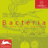 Bacteria and Other Micro Organisms