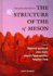 Structure of the N' Meson