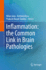 Inflammation: the Common Link in Brain Pathologies