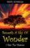 Beneath A Sky of Wonder: I Met The Dharma