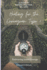 Healing for the Enneagram Type 6: Embracing Inner Courage: Second Edition