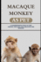 Macaque Monkey as Pet: A Comprehensive Guide to Care, Feeding, Pros and Cons, Behavior, and Bonding