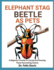 Elephant Stag Beetle as Pets: A Beginner's Guide To Caring And Housing These Fascinating Insects
