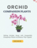 Orchid Companion Plants: Selling Orchids Along with Compatible Companion Plants to Enhance Their Appeal