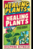 Healing Plants: Natural Remedies for Exact Moments