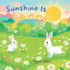 Sunshine Is Shining