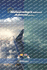 Meteorologa adversa. Adverse weather.: Un libro de aviacin en espaol e ingls