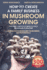 How to Create a Family Business in Mushroom Growing: Our Family Farm for Growing Delicious and Medicinal Mushrooms Growing Exotic Mushrooms for Beginners and Professionals